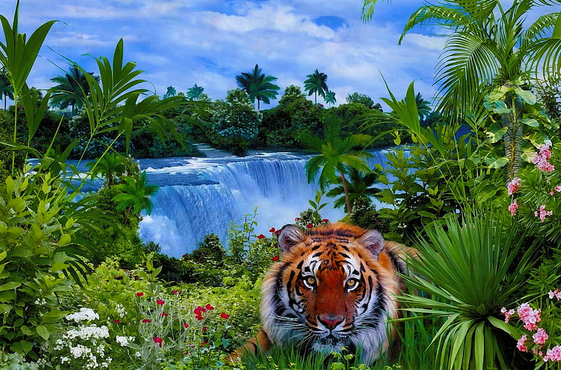 Exotic place, forest, exotic, place, tiger, cat, watwerfall, wild, jungle, waterfall, HD wallpaper