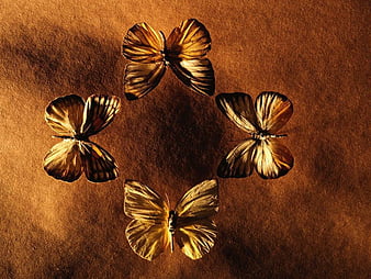 Butterfly Fossils, golden brown, butterflies, circle, fossil, HD wallpaper  | Peakpx