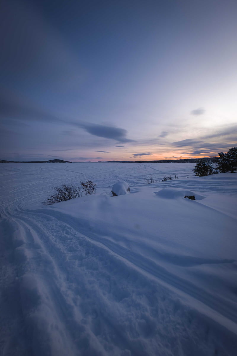 field, snow, dusk, winter, nature, HD phone wallpaper