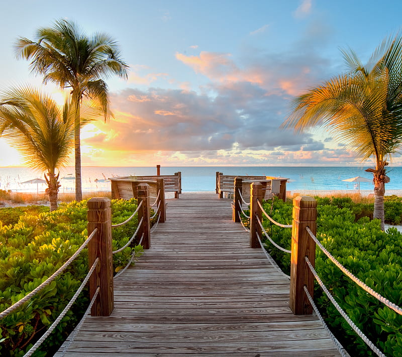 Boardwalk Path, beach, boardwalk, ocean, palm, path, sea, tropical, water, HD wallpaper