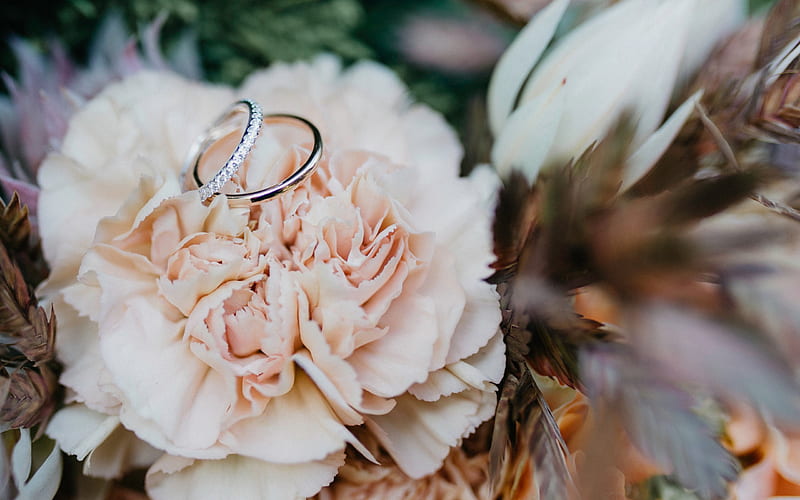 wedding rings, pink chrysanthemum, wedding concepts, jewelry, white gold, HD wallpaper