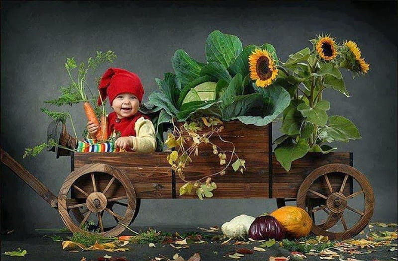 Fall Harvest, little boy, fall, harvest, sunflowers, pumpkins, carriage, HD wallpaper
