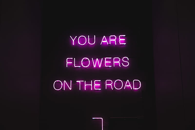 Pink color neon luminous text with inspiring phrase You are flowers on the road on black signage at night, HD wallpaper