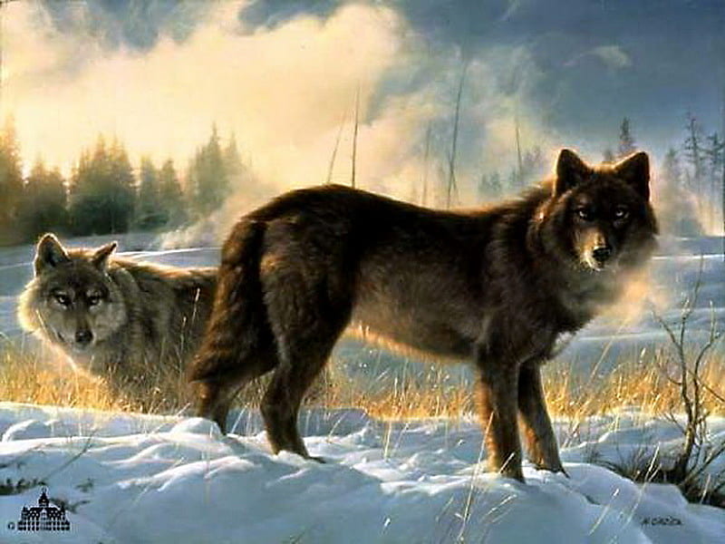 Two in the wilderness, hunters, trees, clouds, winter, cold, snow, wild, wolves, pair, HD wallpaper