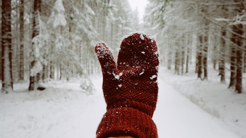 mitten, hand, snow, winter, HD wallpaper