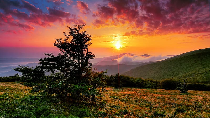 Sunrise in the Appalachian Mountains, North Carolina, morning, trees, colors, landscape, sky, sun, mountains, usa, HD wallpaper