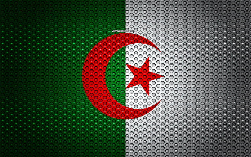 Flag of Algeria creative art, metal mesh texture, Algerian flag, national symbol, Algeria, Africa, flags of African countries, HD wallpaper