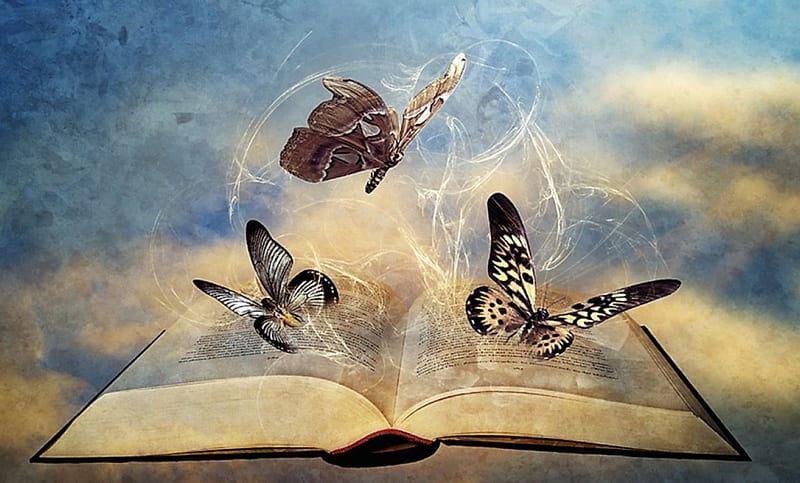The Ripple Effect, book, fantasy, butterflies, ripple, HD wallpaper | Peakpx