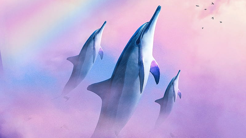 Dolphins Diving In The Sky, dolphin, artist, artwork, digital-art, HD wallpaper