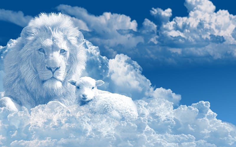 :), lion, lamb, cloud, blue, white, leu, big cat, cat, summer, fantasy, pisici, sky, vara, HD wallpaper