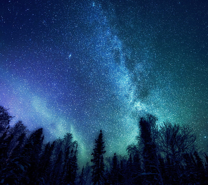 Sky, blue, forest, galaxy, space, stars, HD wallpaper