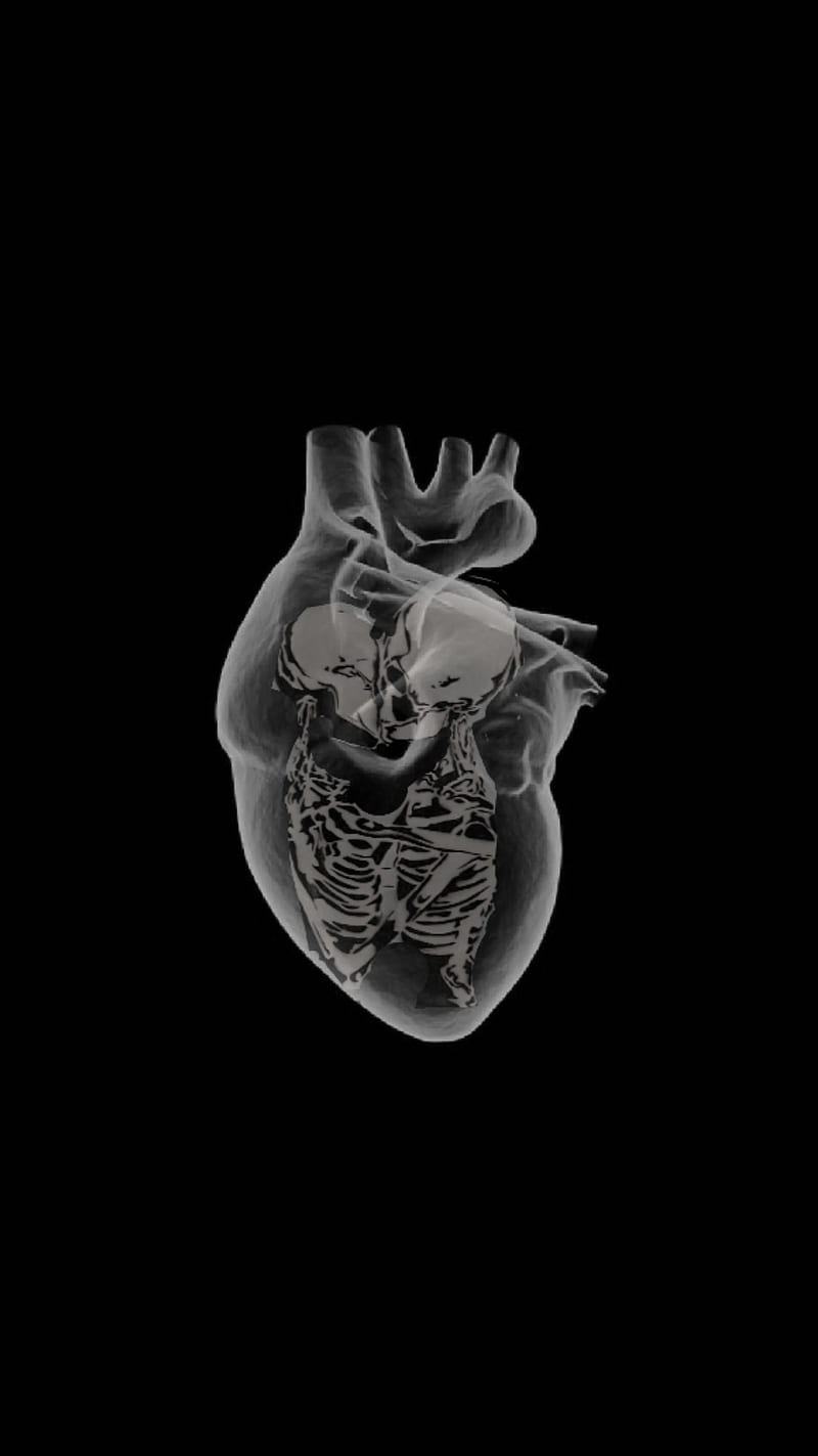 Skeletonlove, dark, dead, heart, love, remix, skeleton, HD phone wallpaper  | Peakpx