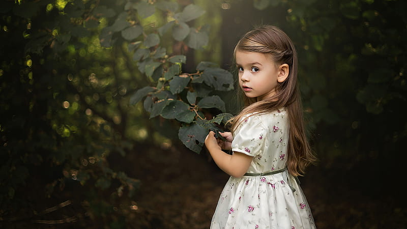Nice Girl Child With White Dress Is Touching Leaf Cute, HD wallpaper