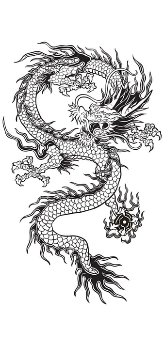 Premium Photo  Dragon tattoo isolated tribal wyvern silhouette black white  dragon abstract generative ai illustration