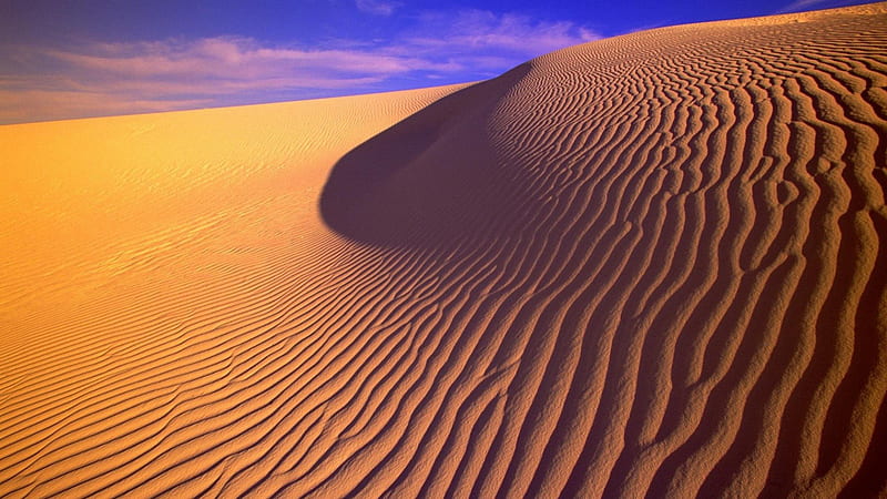 New Mexico Gypsum Sand Dunes, Gypsum Sand Dunes, sand dunes, New Mexico, new mexico desert, HD wallpaper
