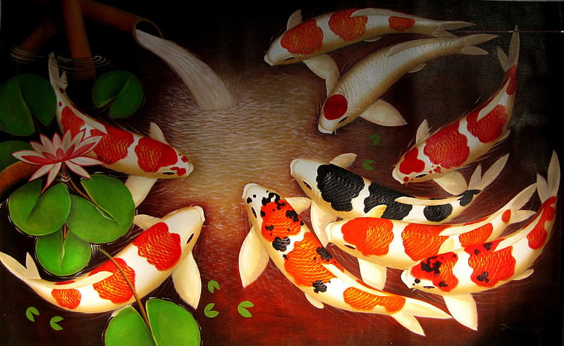 Koi Fish, pretty, lotus, fish, cg, bonito, artwork, sweet, lotus pond, nice, painting, beauty, realistic, art, lovely, lily pad, fins, water lily, tail, koi, water, scale, 3d, feng shui, oriental, chinese, HD wallpaper