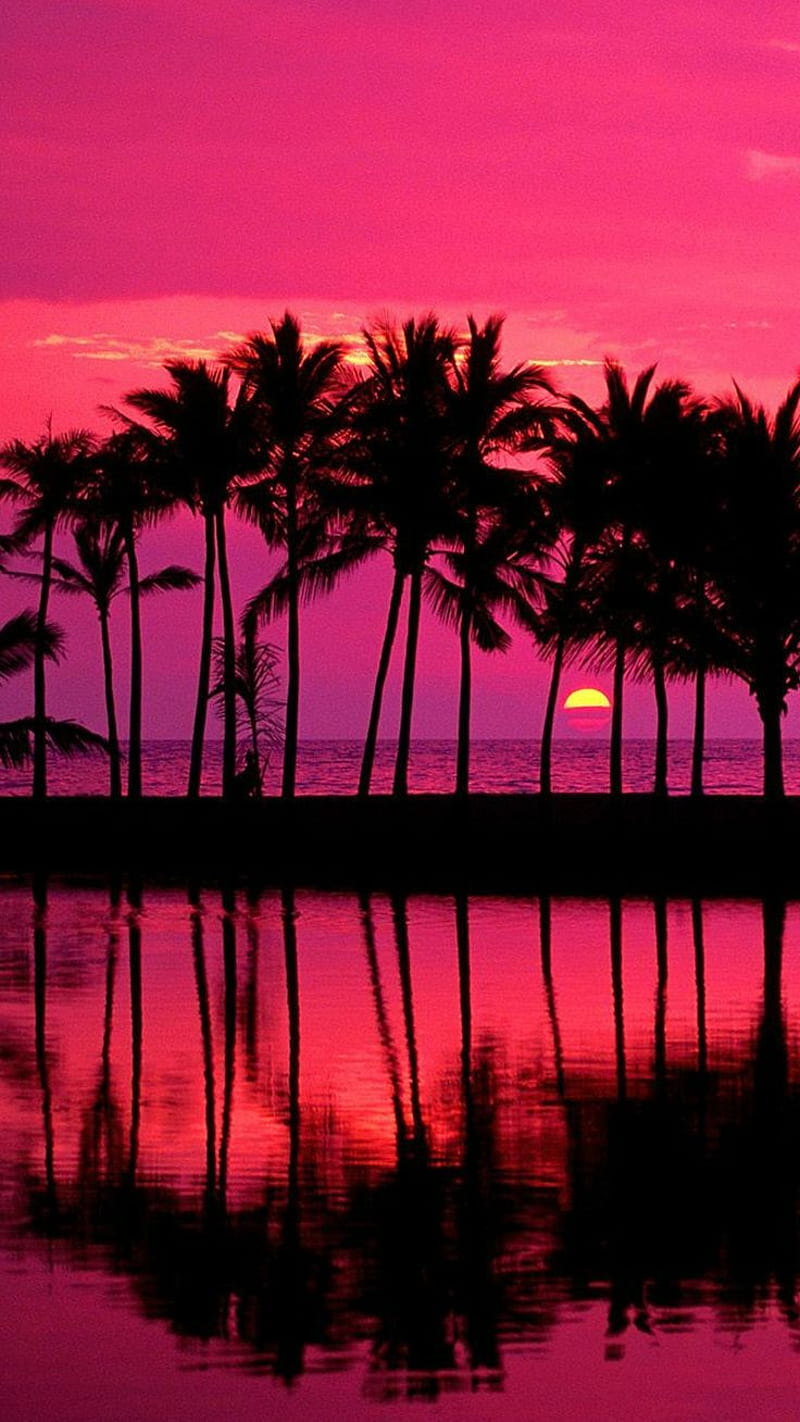 Palmasxd, beach, palm, palmeras, palms, HD phone wallpaper