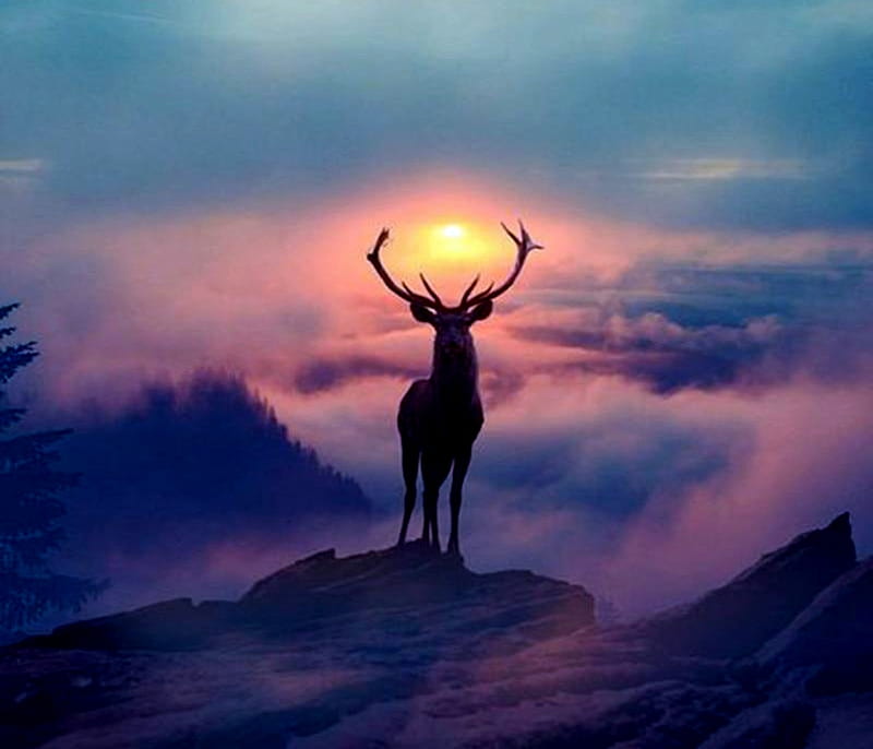 The Buck, Clouds, Deer, Buck, Sky, Mountain, Sunset, HD wallpaper