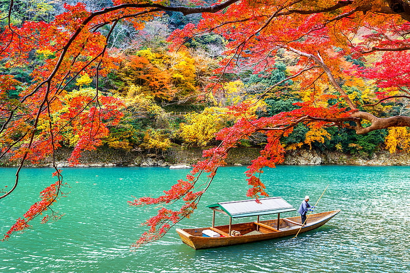 graphy, Fall, Arashiyama, japan, Kyoto, Lake, Nature, Park, HD wallpaper