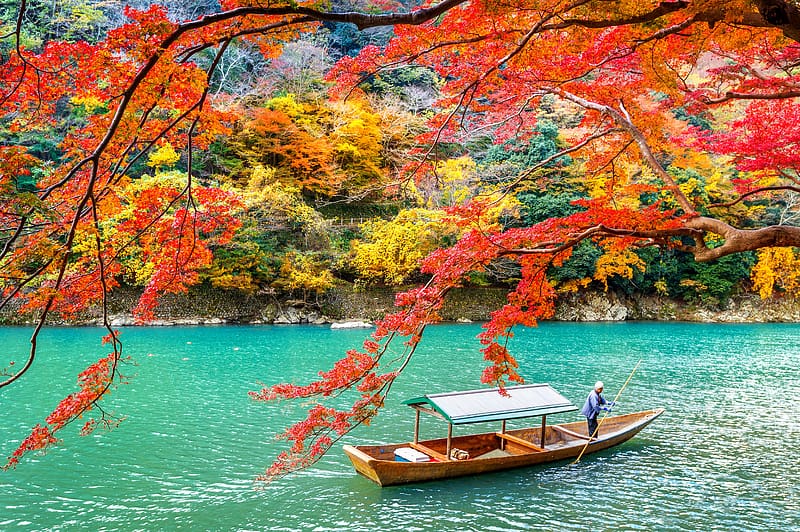 Nature, Lake, Park, Fall, Japan, , Kyoto, Arashiyama, HD wallpaper