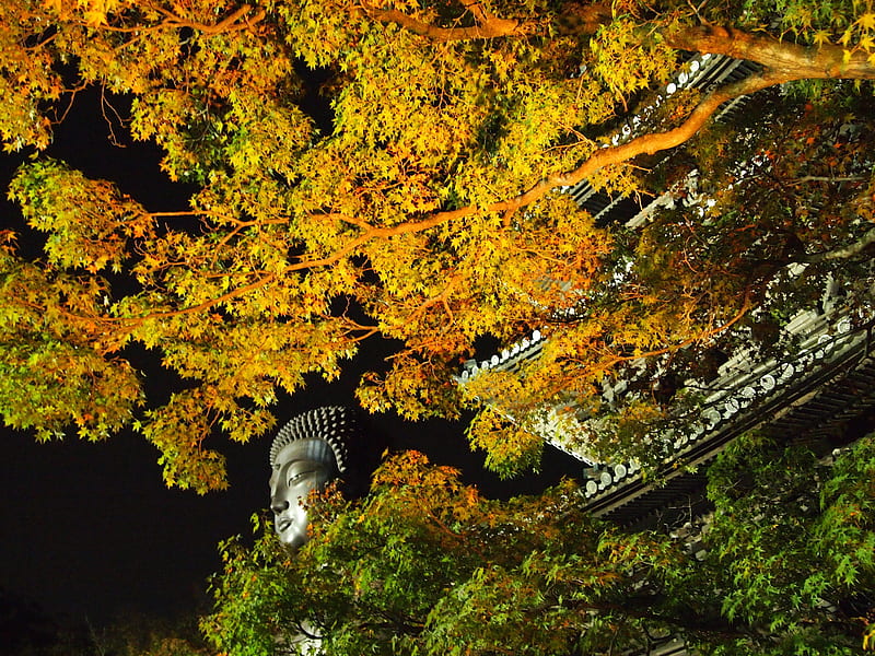 Autumn Temple, Temple, Budha, Leaves, Autumn, HD wallpaper