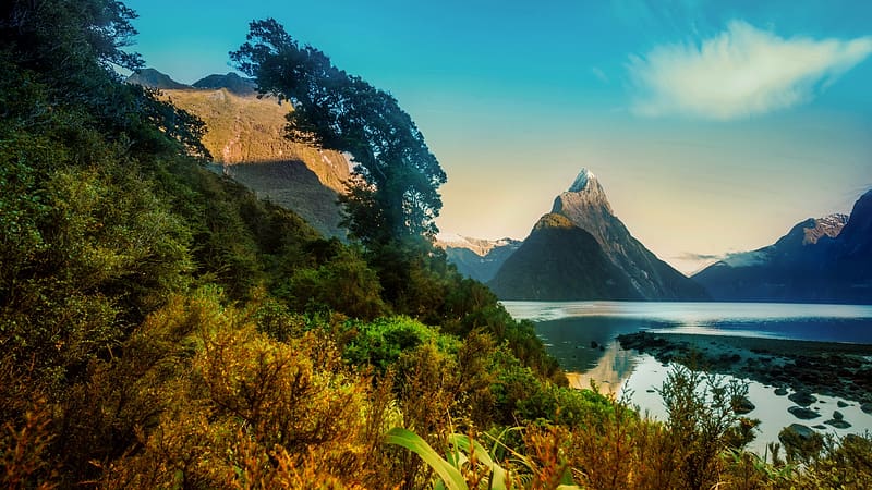 Milford Sound, New Zealand, landscape, rocks, water, mountain, trees, HD wallpaper