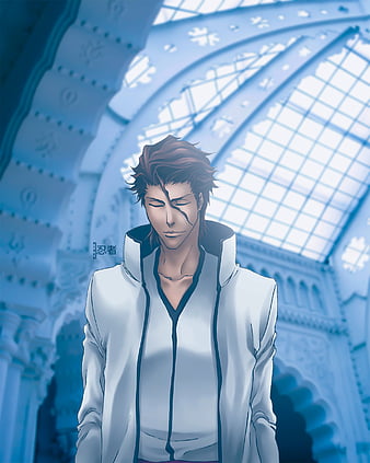 Hd Aizen Wallpapers Peakpx