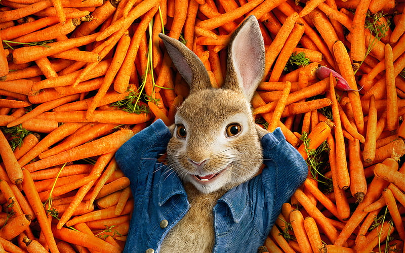Peter Rabbit poster, 2018 movie, farmer, carrot, rabbit, 3d-animation, HD wallpaper