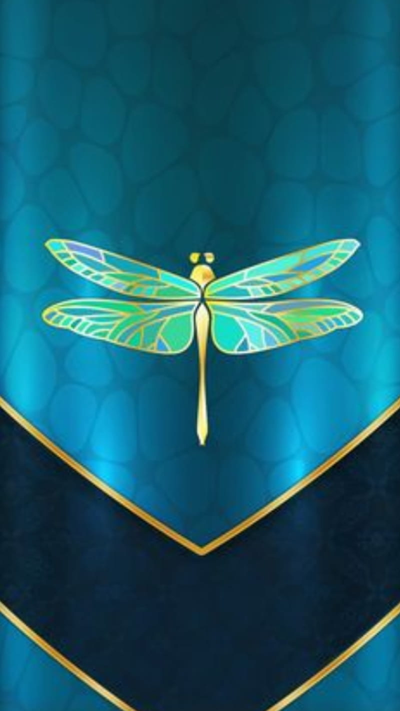 Dragonfly, blue, dragonflies, HD phone wallpaper