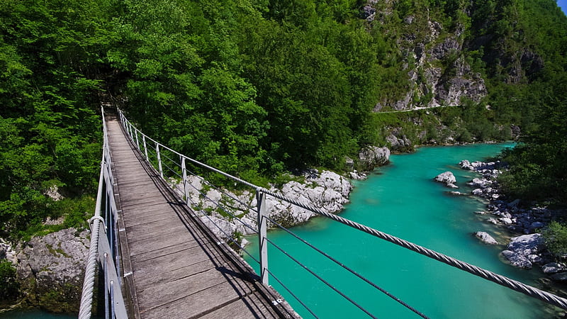 hanging bridge over green river, forest, green, bridge, gorge, river, hanging, HD wallpaper