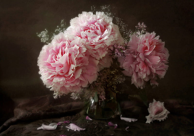 still life, pretty, vase, bonito, peonies, peony, graphy, nice, elegance, gentle, flowers, beauty, pink, harmony, lovely, cool, bouquet, rap, flower, petals, HD wallpaper