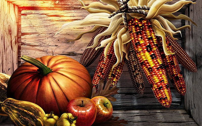 Pumpkin - Corn - Apple - Thanksgiving illustration design, HD wallpaper