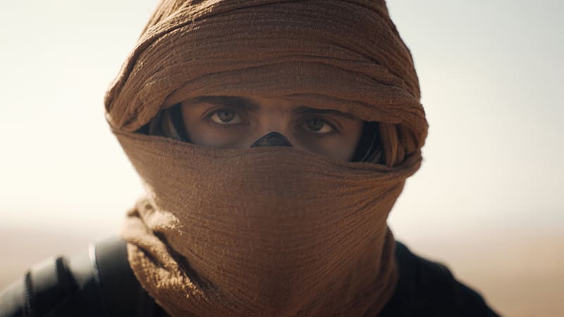 Timothee Chalamet As Paul Atreides In Dune, dune-part-two, dune, 2023-movies, movies, HD wallpaper