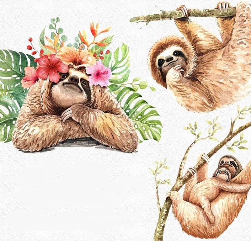 Sloths, sloth lenes, art, exotic, vara, texture, flower, summer, animal, HD wallpaper