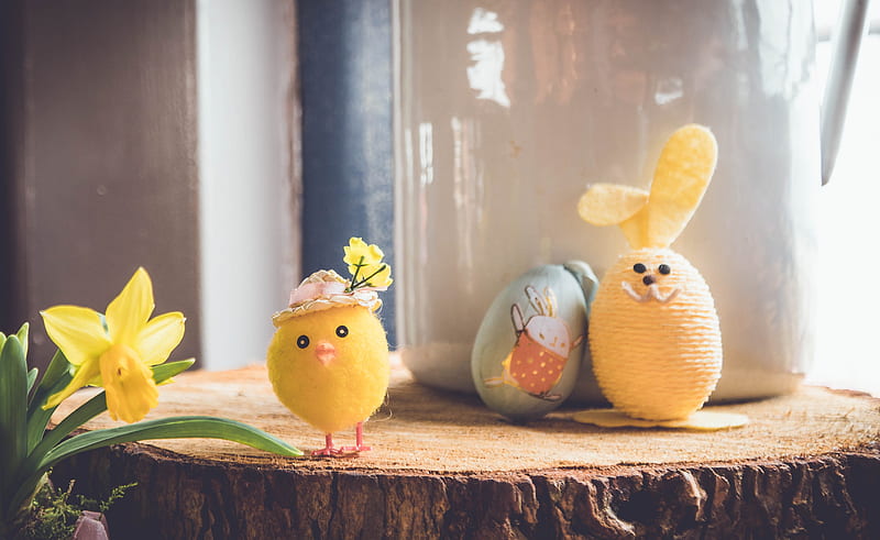 yellow bird plush toy on brown wood, HD wallpaper