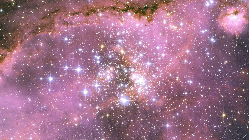 Shimmering Stars On Purple Sky Space, HD wallpaper