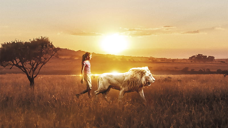 Mia And The White Lion, movies, lion, HD wallpaper