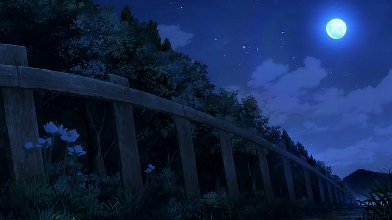 Noche de anime, paisaje, bosque, anime, roud, naturaleza, Fondo de pantalla  HD | Peakpx