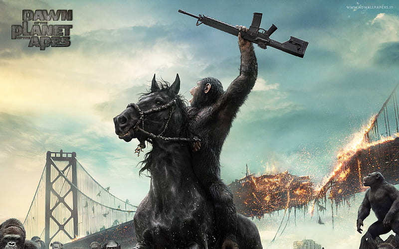 Dawn of the Planet of the Apes Movie, movies, HD wallpaper