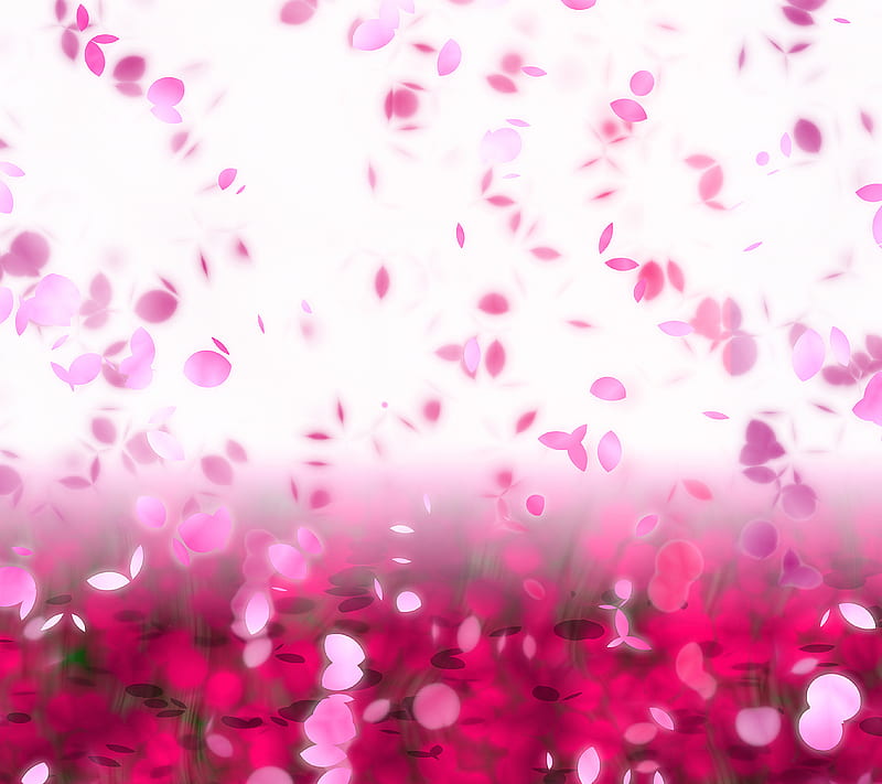 Rose Falls, abstract, colors, falling, flower, karmughil, pink, HD wallpaper
