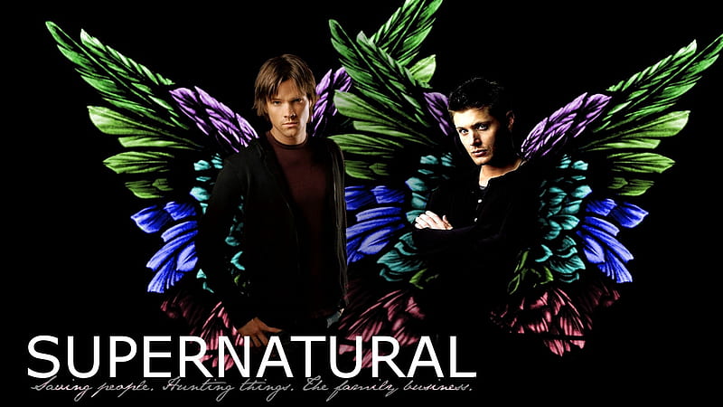Dean and Sam -Supernatural-, HD wallpaper