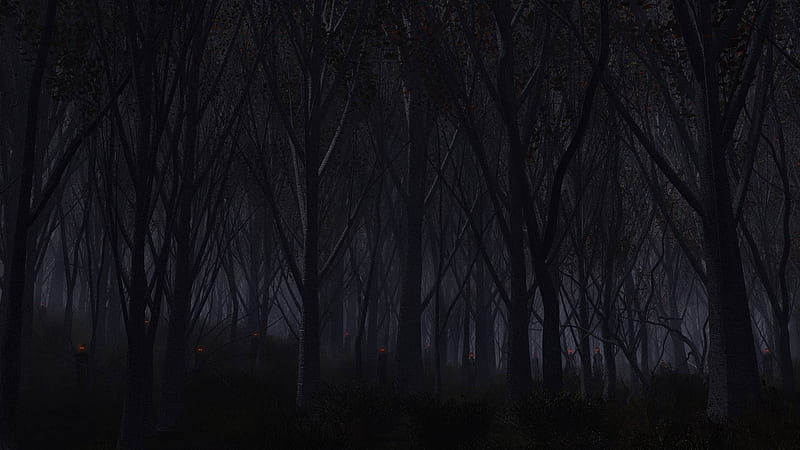 spooky forest, forest, cool, spooky, nature, fun, HD wallpaper