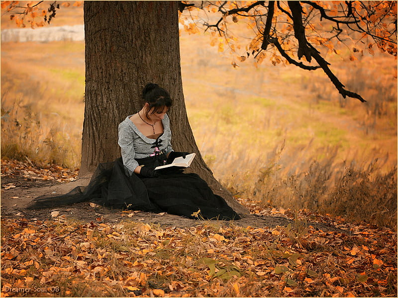 A quiet place to read a book, tree, woman, entertainment, people, HD wallpaper