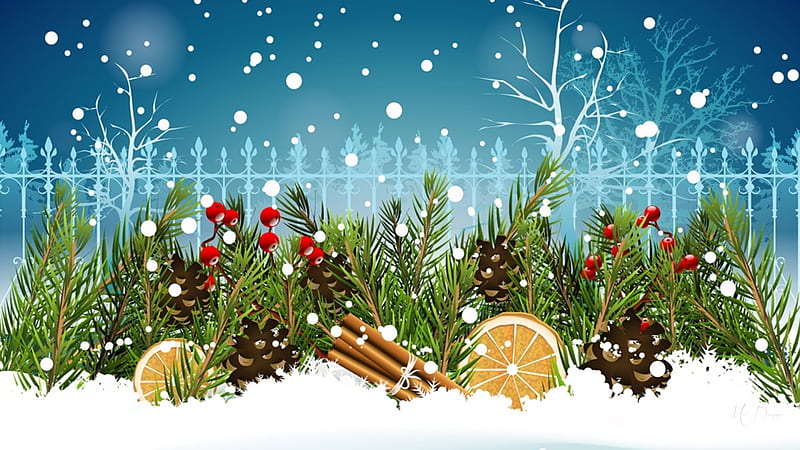 Holiday Decorations, Christmas, holidays, orange, trees, winter, pine cones, snow, berries, cinnamon sticks, fir, HD wallpaper