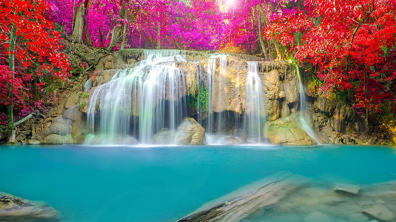 Hermosas cascadas con flores, bosque, hojas, flores, cascada, naturaleza,  paisaje, Fondo de pantalla HD | Peakpx
