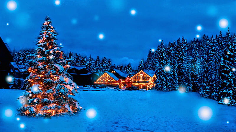 Christmas Trees And Decorated Houses In Blue Background Christmas, HD wallpaper