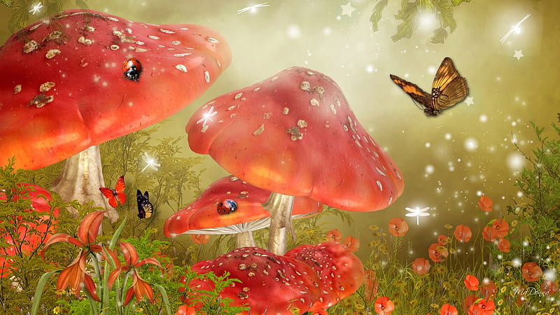 Mystical Mushrooms, toadstools, flowers, glow, poppies, orang, fantasy, e bright, papillon, dragonfly, flowers, mystical, poppy, butterflies, sparkles, fungus, summer, mushrooms, lady bug, ladybugs, field, HD wallpaper