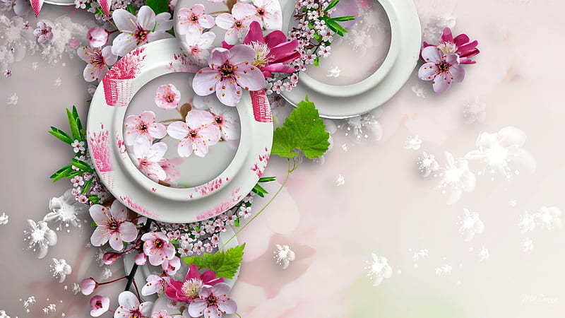 Wild Cherries, sakura, transparent, shadow, firefox persona, spring, summer, blossoms, flowers, blooms, pink, cherry, HD wallpaper