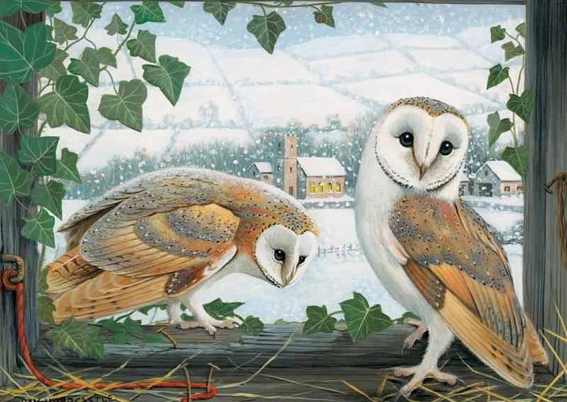 PAIR OWLS, IVY, PAIR, OWLS, BARN, TWO, HD wallpaper