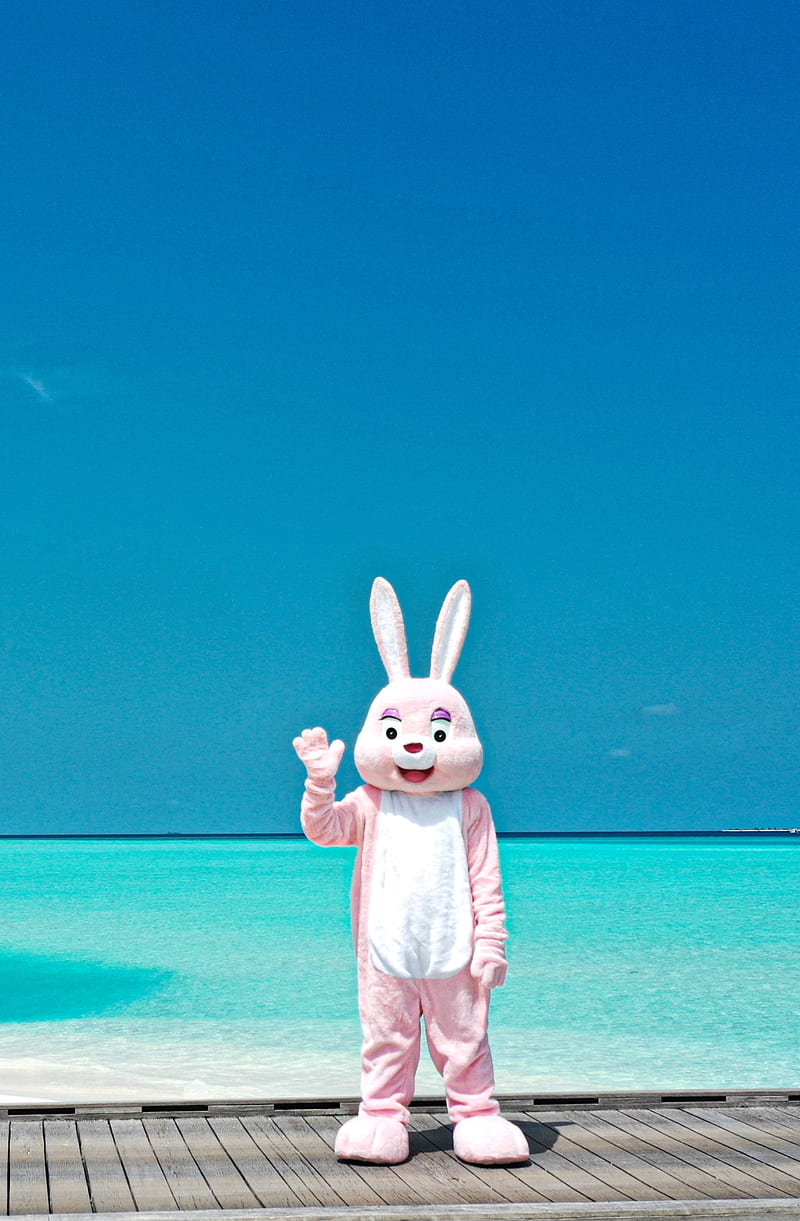 Alright IMMA GO REST , easter egg bunny rabbit pink cute fun funny high quality marvin the easter bunny trending popular new fresh, funny cute bunny pink blue sky ocean water beach resort maldives summer sunny travel, bts, HD phone wallpaper